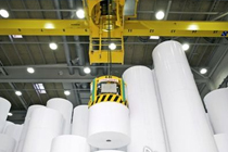 紙漿與造紙行業